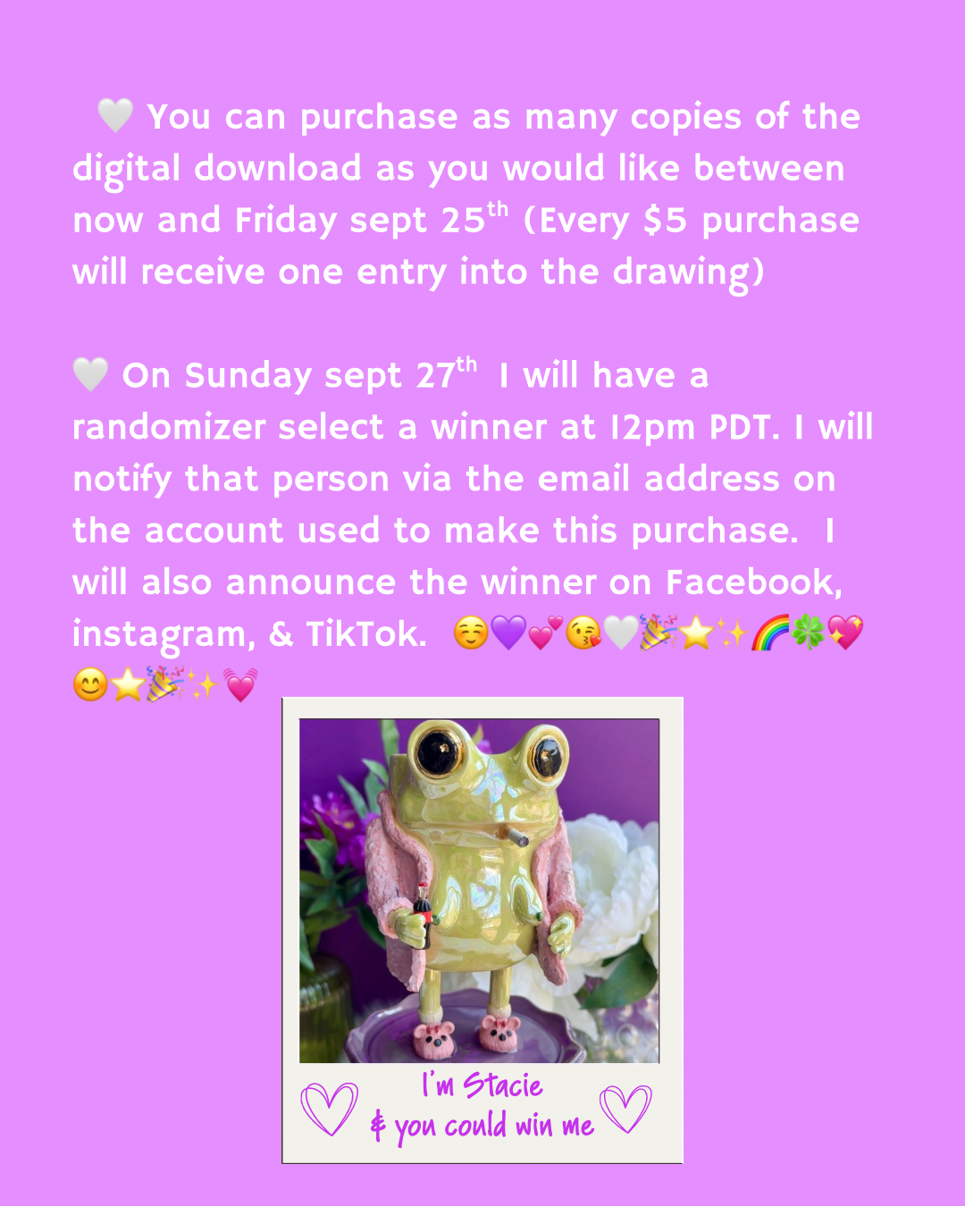 Ticket for a chance to win Stacie- the peeing frog planter.  Please read listing 💜